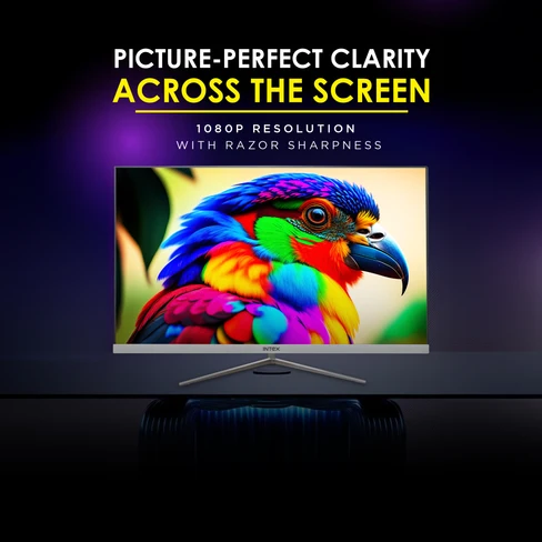 Intex IT-1702 24" Curved Full HD Gaming Monitor product detail